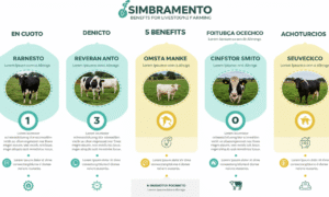 Simbramento